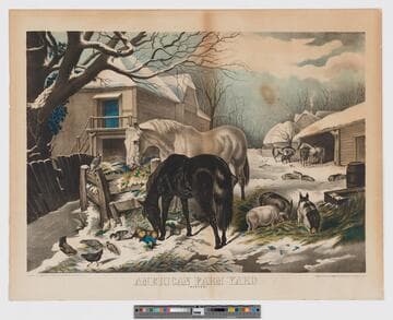 American farm yard (winter)
