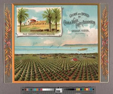 San Diego Mission Brand