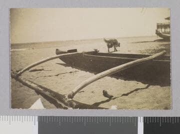 Hawaii, outrigger canoe