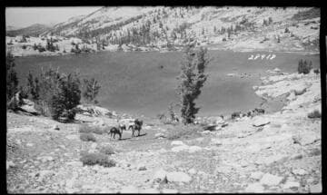 Bear Creek South Fork