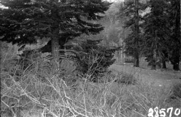 Big Creek, Fish Valley - Fish Creek