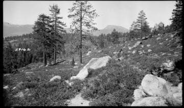 Big Creek, Fish Valley - Fish Creek Project