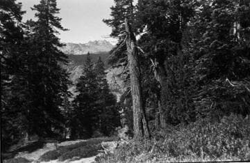 Big Creek, Fish Valley