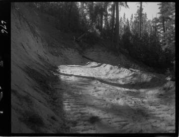 Big Creek - Mammoth Pool - Cut and fill area on Jackass Creek access road