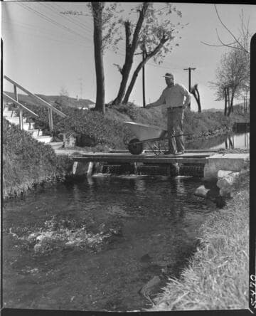 Man with a wheelbarrow on a small bridge feeding fish in the stream