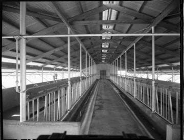 Dairy Booklet photos