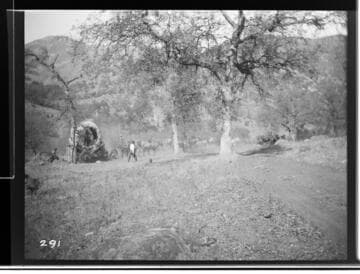 People with a horse team transporting a generator to Kaweah #3 Hydro Plant