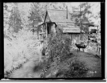 Mountain cabin by a stream with a wheelbarrow full of firewood nearby