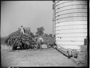 Dairy Booklet photos