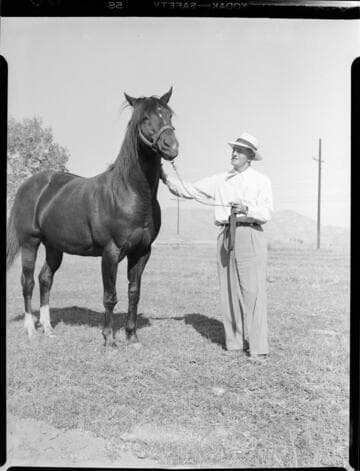 Man in coral with horse on bridle