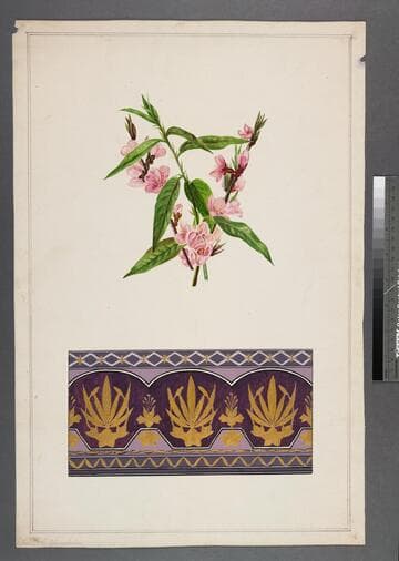 [Original watercolor of pink flowers and purple design]