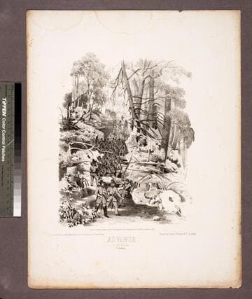 Advance in the woods. C. Andrsn