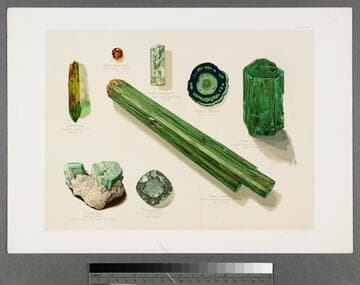 [Plate of various cuts of precious gems]