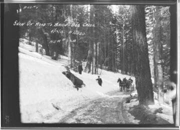 Big Creek Miscellaneous