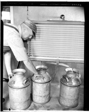 D1 - Dairy - Electrical Times Dairy Series