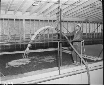 Man moving coils of wire with power fork lift