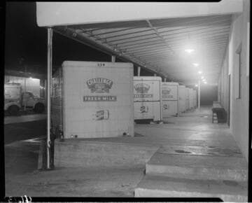 Challenge milk trucks lined up at loading dock