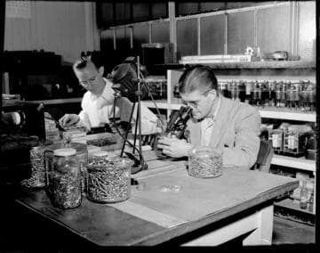 Shop and Test Department