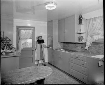 Domestic electric kitchen