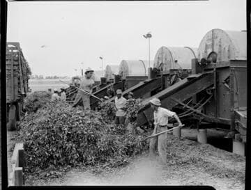 Electrified industry