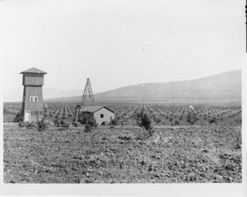 Pumping plant and orchard near Exeter, 1914