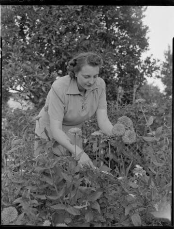 Mrs. C. H. McLaughlin