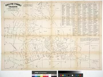 Scheletro stradale di Trieste / per F. Pfeiffer, ingenere e meccanico