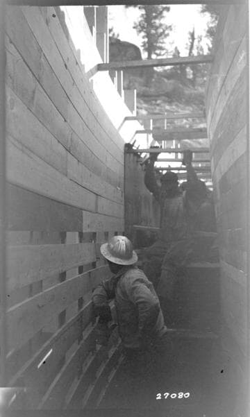 Big Creek General - Hooper Creek