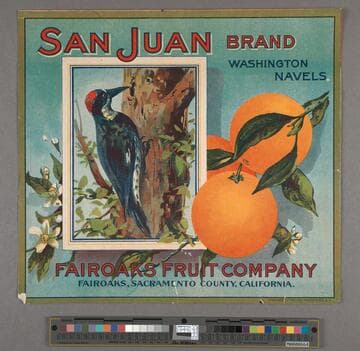 San Juan Brand