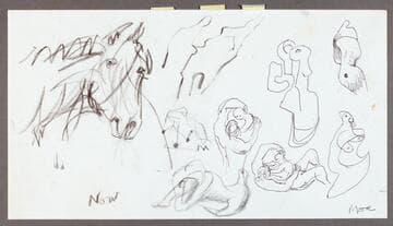 Horse's Head and Studies