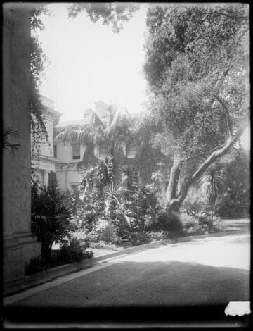 Huntington residence and drive with rockery