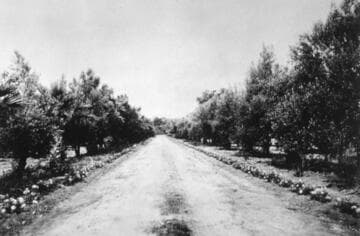 Original Shorb entrance drive, circa 1905