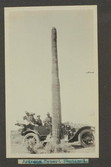 Zahn trip to San Juan placers in a Franklin car.  Arizona Desert Sentinel