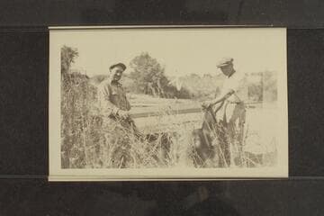 Lower Colorado and Alamo River