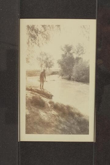 Alamo near Salton Sea