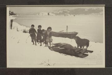 [of Tierra del Fuego]