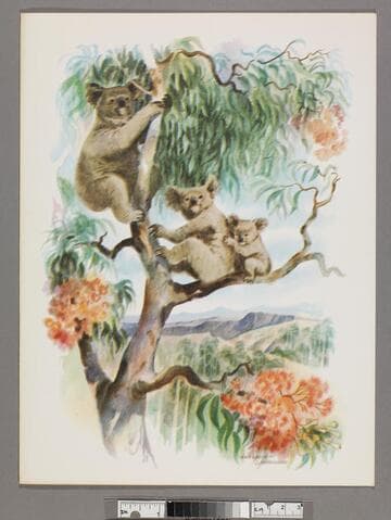 Captain's dinner menu