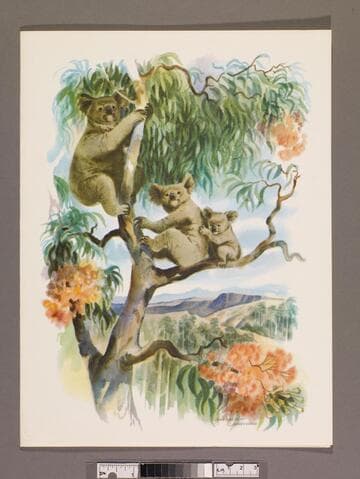 Captain's farewell dinner menu