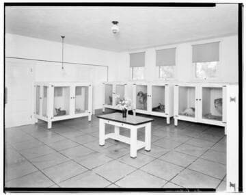 Small Animal Hospital, 74 North Daisy, Pasadena. 1927