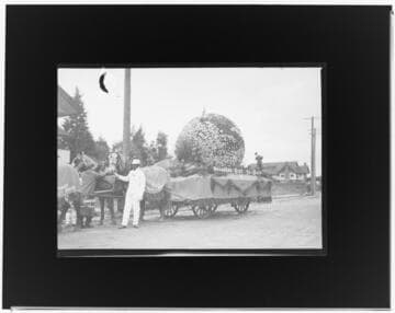 Rose Parade float, Pasadena. approximately 1909?