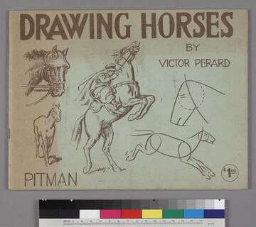 Drawing Horses