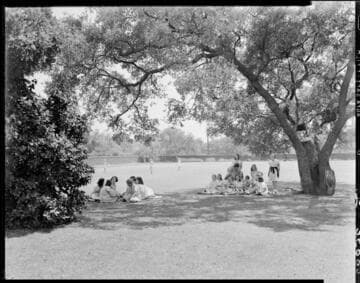 Girls under tree, Polytechnic Elementary School, 1030 East California, Pasadena. May 15, 1940