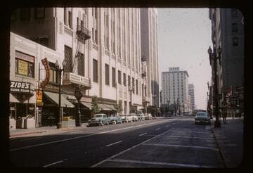 Spring Street gets its first trees