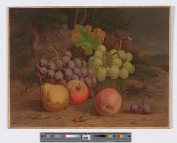 Fruit piece I